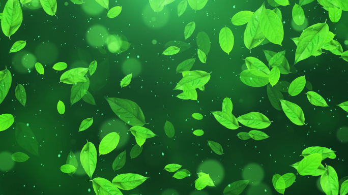 绿色生机春天树叶大屏幕背景循环