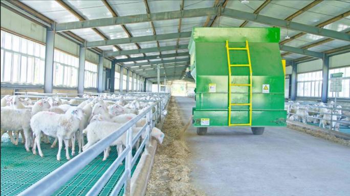 规模化生态养殖场羊圈实拍素材现代化养羊