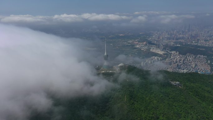 深圳 东部华侨城 梅沙尖 梧桐山 云海