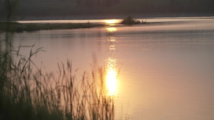 沂河河面落日夕阳美景