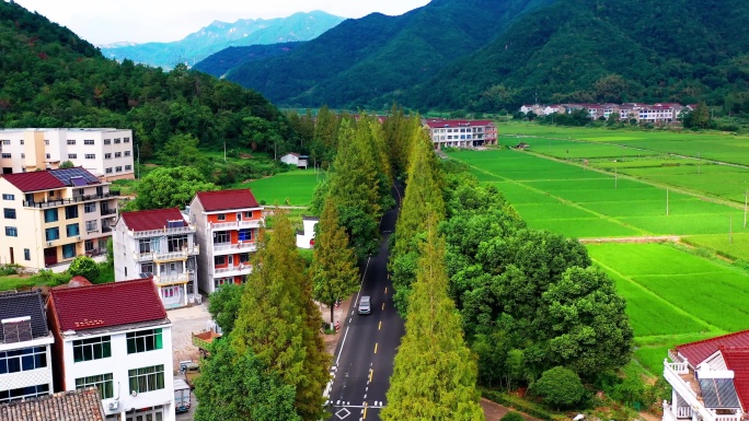 浙江临海市小芝，田园风光，有稻田和村庄