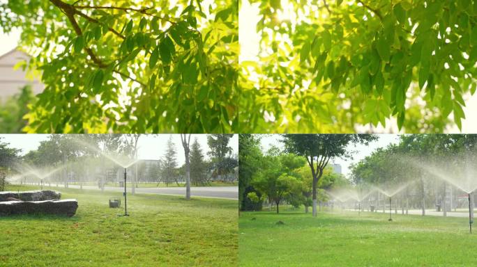 公园清晨阳光绿叶草坪喷灌浇水
