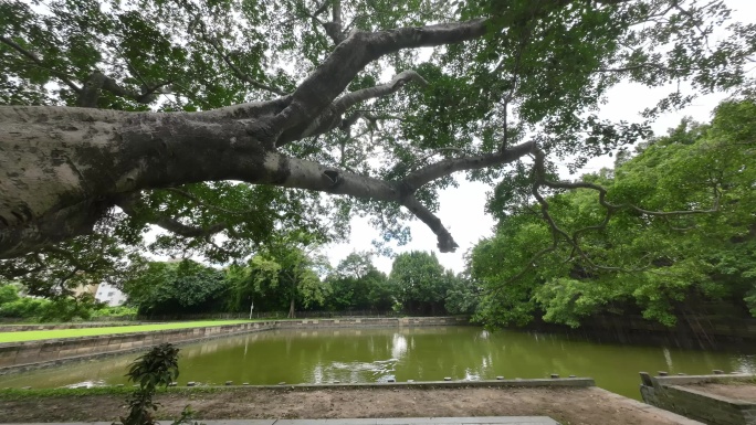 虎门销烟池