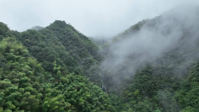 航拍江南雨天竹林竹山竹海峡谷云雾实拍素材