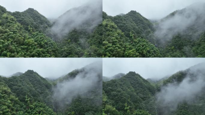 航拍江南雨天竹林竹山竹海峡谷云雾实拍素材