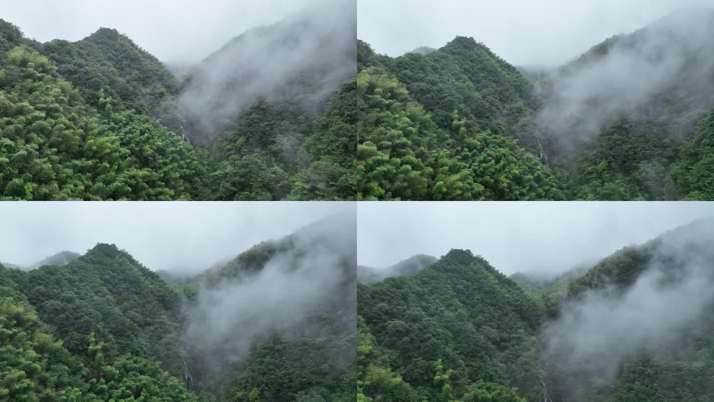 航拍江南雨天竹林竹山竹海峡谷云雾实拍素材