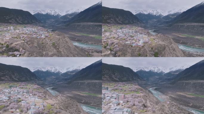 航拍桃花盛开的西藏林芝雅鲁藏布大峡谷