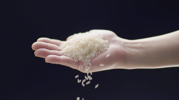 粮食 大米 品质 香米 稻米 饱满 高端