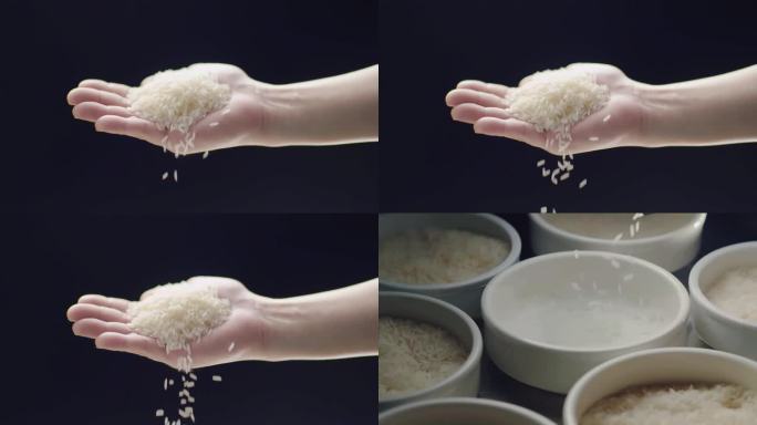 粮食 大米 品质 香米 稻米 饱满 高端
