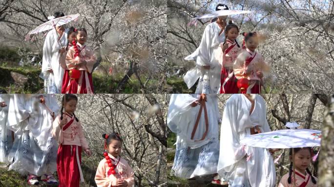 花仙子 腊梅 梅花盛开 流水 花瓣 赏花