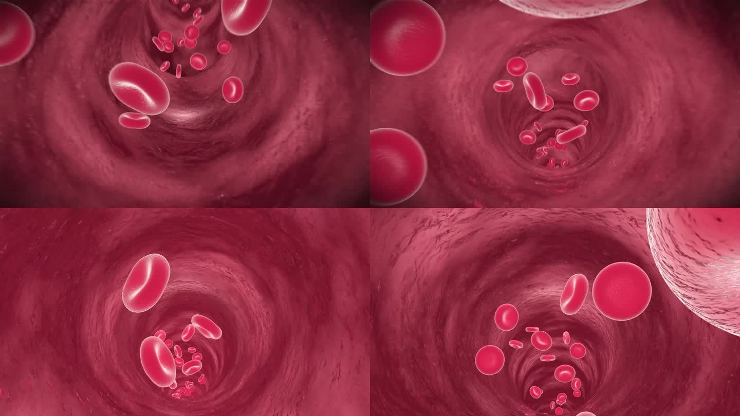 血液红细胞血管流动弹性
