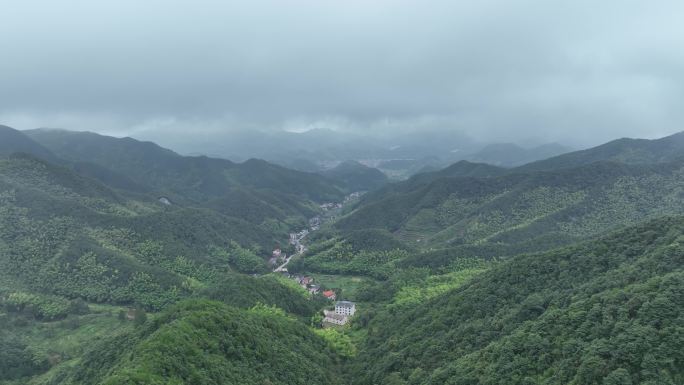 江南浙江山区雨天云雾毛竹竹海山村龙门山脉