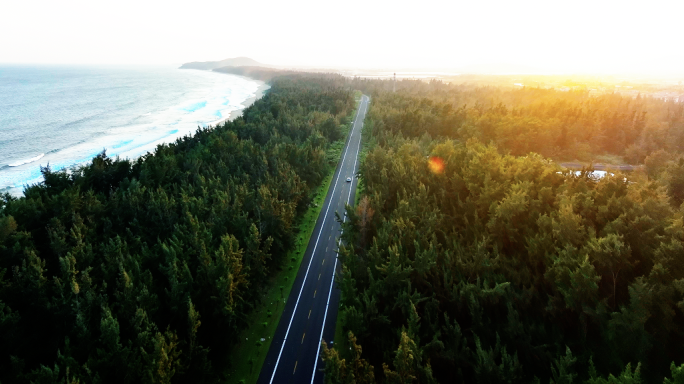 航拍清晨汽车行驶在 森林海边公路