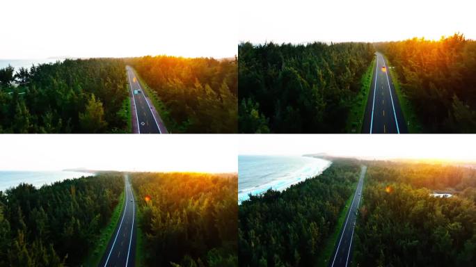 航拍清晨汽车行驶在 森林海边公路