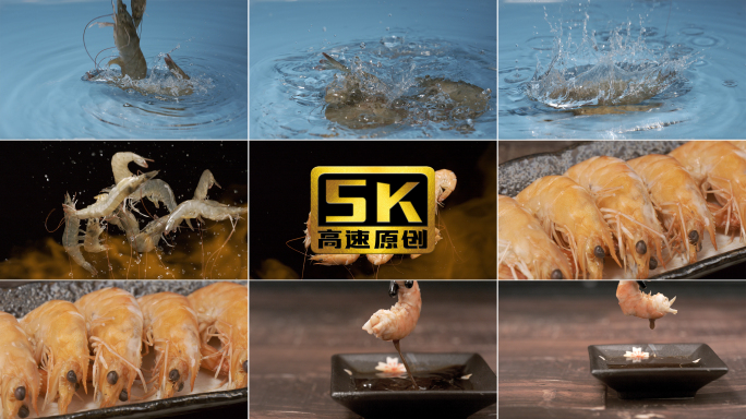 5K-基围虾展示，鲜虾美食