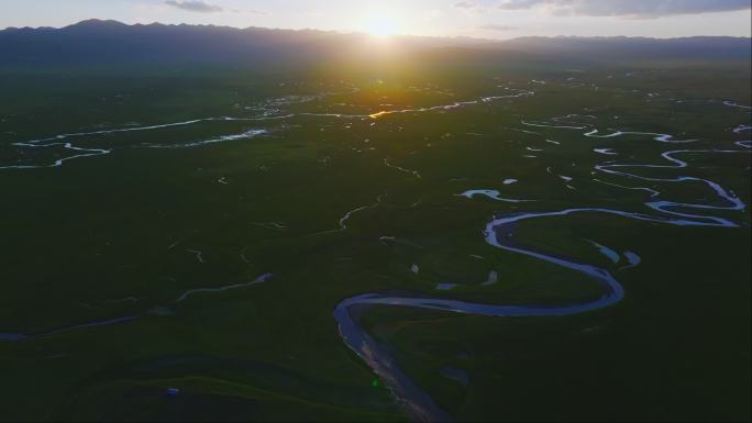 黄河日出湿地绿色大自然草原草地