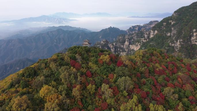 白石山秋色 红叶 红桦林