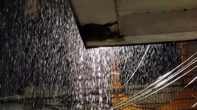 夜晚特大暴雨雨点雨丝逆光雨滴雨滴绿树雨滴