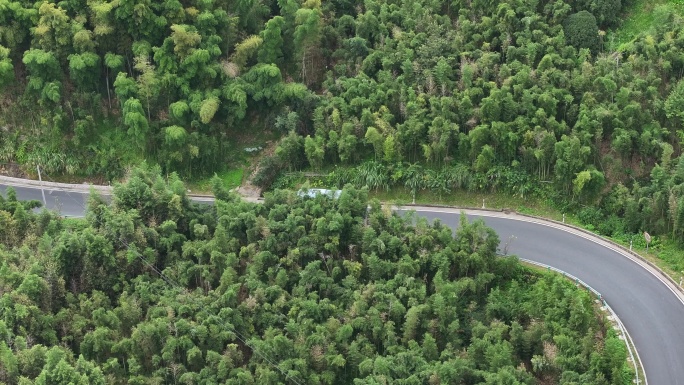 农村公路公交车