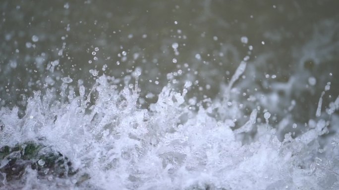 高清升格水流水花视频