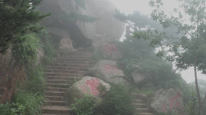 云雾缭绕的松林山石路