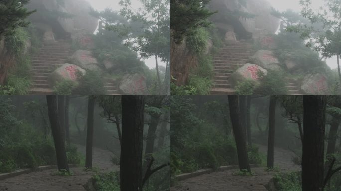云雾缭绕的松林山石路
