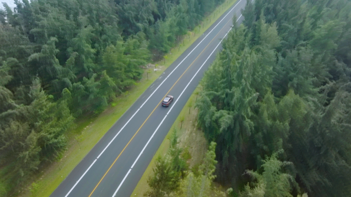 航拍汽车行驶在海边树林公路