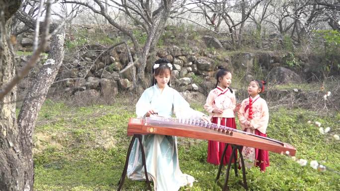 弹古筝 梅花盛开 美女 高山流水 腊梅