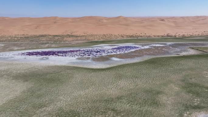 腾格里沙漠五湖穿越之骆驼湖