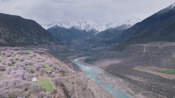 航拍桃花盛开的西藏林芝雅鲁藏布大峡谷