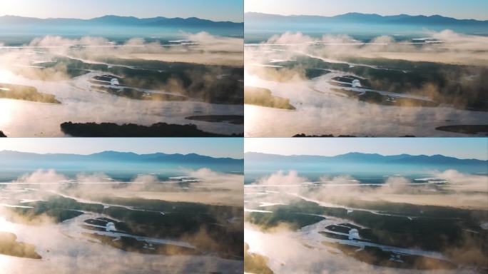 黄河湿地绿色大自然草原草地