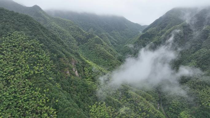 航拍江南山区竹林竹山竹海雨天云雾实拍素材