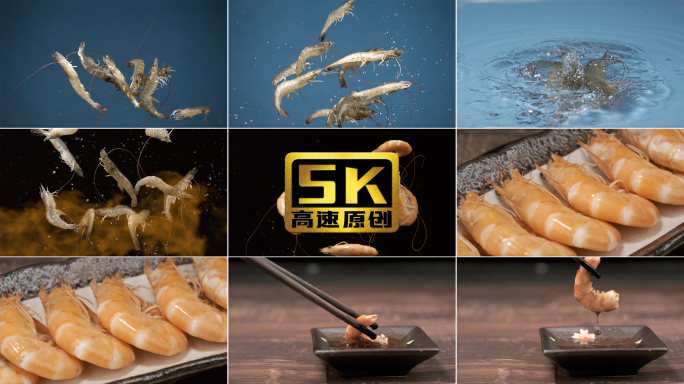 5K-对虾展示，基围虾、淡水虾