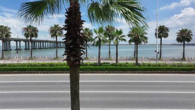 【正版原创】海边棕榈椰树自驾公路航拍