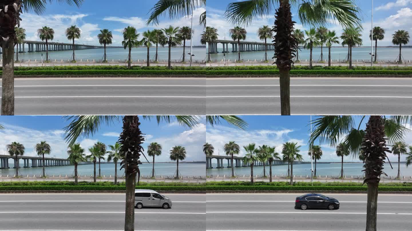 【正版原创】海边棕榈椰树自驾公路航拍