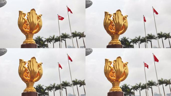 金紫荆广场_香港区旗和中国国旗飘扬8K