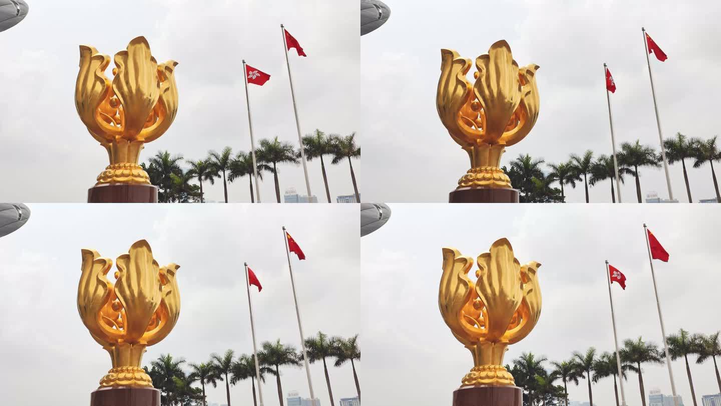 金紫荆广场_香港区旗和中国国旗飘扬8K