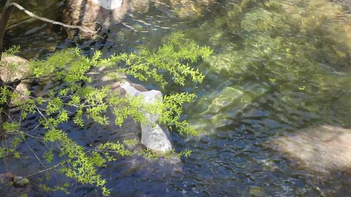 中条山腹地原生态河流 山石河流 溪水