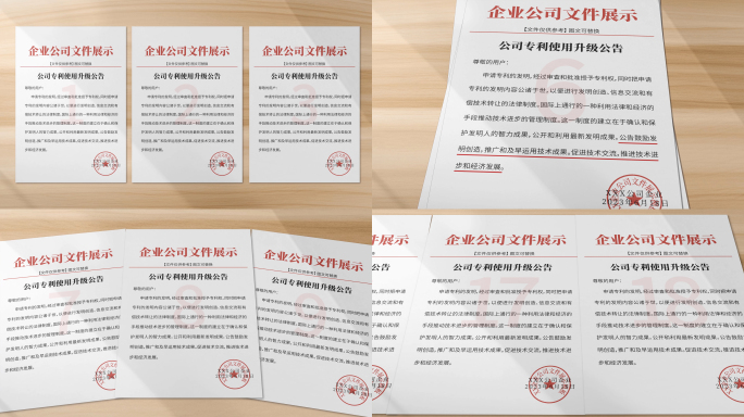 红头文件证书展示
