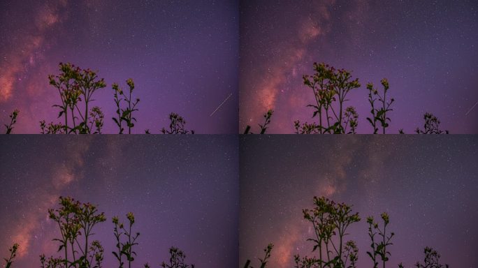 4k 延时唯美夜景星空银河