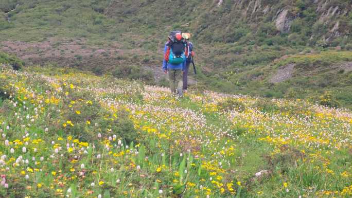 攀登阿沙贡格雪山的登山者徒步行走在花海中