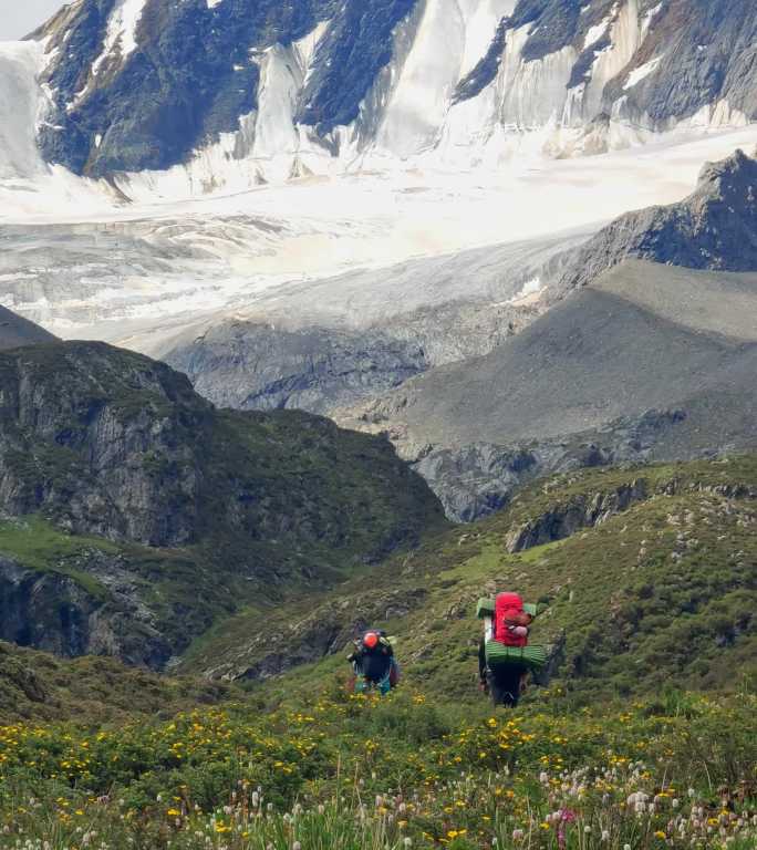 攀登阿沙贡格雪山的登山者徒步行走在花海中