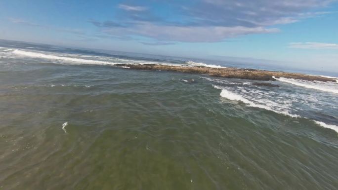 FPV穿越机无人机航拍海边海浪沙滩海岸鸟