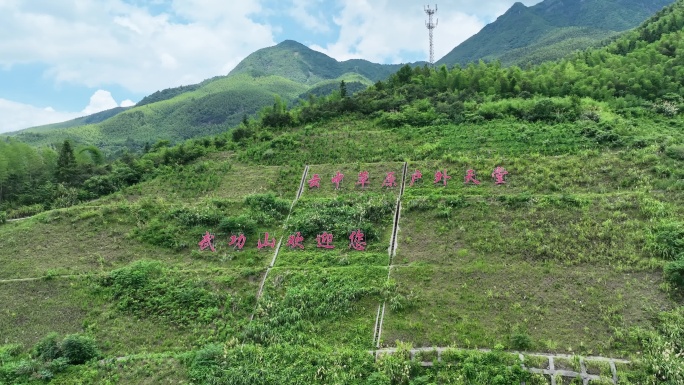 航拍武功山高山草甸4k