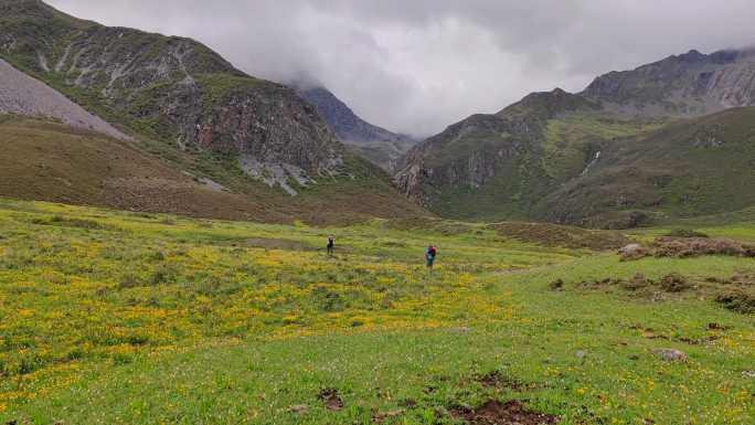 攀登阿沙贡格雪山的登山者徒步行走在花海中