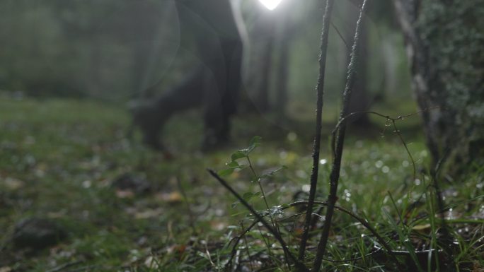 森林里男子在雨中打灯探索寻找出路