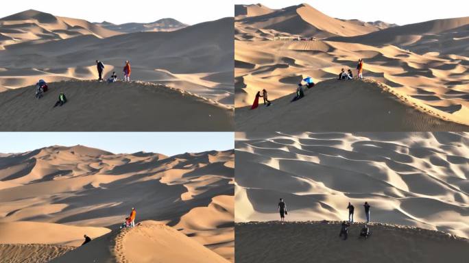 沙漠游客