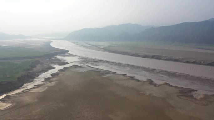 黄河流域山西垣曲段古城湿地滩涂白鹭苍鹭