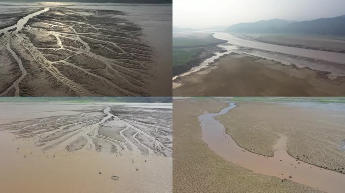 黄河流域山西垣曲段古城湿地滩涂白鹭苍鹭