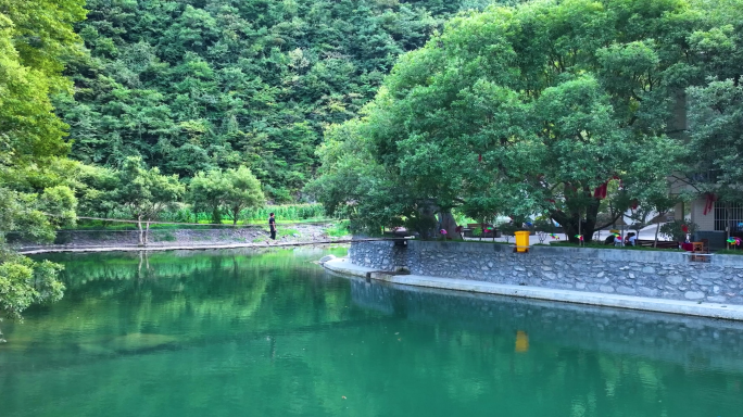 唯美山村生活　碧水鸭群